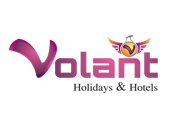 volant-logo